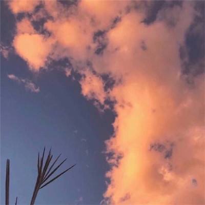 万剑乾坤破解版下载